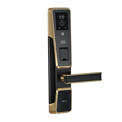 Fingerprint Face Lock